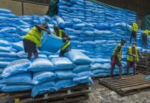 Togo : la campagne agricole 2021-2022 bat son plein