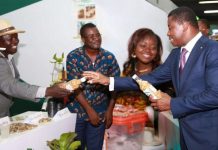 Togo : 178 milliards FCFA pour soutenir l’entrepreneuriat des jeunes
