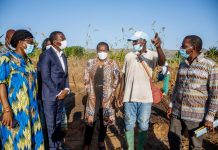 Filière Ananas bio : Dogbé galvanise la coopérative Espoir de Dzolo