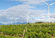 L’agriculture et l’énergie, des secteurs économiques porteurs au Togo