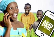Agri-PME, une aide précieuse offerte aux agriculteurs togolais