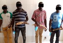 Trafic d’espèces protégées/Togo : 7 trafiquants d’ivoire condamnés