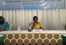 Togo/EMAPE : bientôt un plan d’action national d’élimitation du mercure