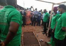 Environnement : la JEMD et son ambitieux projet de mise en œuvre de pépinière pour le rayonnement du Grand-Lomé