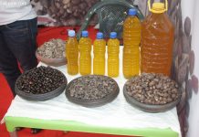 Togo : clin d’œil à l’essor des micro entreprises et emplois