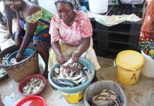 À Gbétsogbé, il fait bon vivre