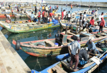 La pêche nourrit 22 000 Togolais