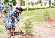 Clin d’œil aux efforts du Togo face au réchauffement climatique