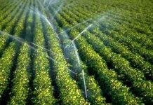 Le Togo : intense campagne de mobilisation de moyens pour une agriculture irriguée