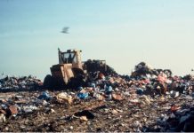 Effets des phases du Peul sur l’environnement du Grand Lomé