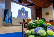 PAM : le Conseil d’Administration approuve le Plan Stratégique Pays 2022-2026 du PAM Togo