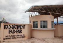 Les Ifad, ou la garantie d’une formation adaptée au marché du travail
