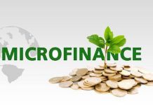 L’inclusion financière et l’essor des microfinances