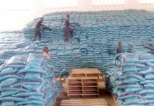 Togo : subvention accrue des engrais agricoles