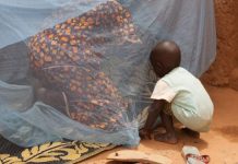 La campagne de prévention du paludisme à la rescousse de 195 000 enfants dans les Savanes