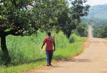 Une voie royale tracée à l’agriculture togolaise décelée
