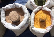 Achat des produits agricoles : le SI en lieu en place des bols, la sensibilisation se poursuit au Togo