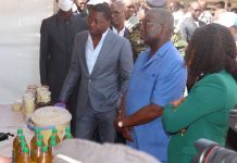 FoPAT : fructueux échanges entre Faure Gnassingbé et acteurs agricoles des Savanes