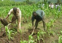 Dapaong accueille la 1ère étape du Forum des Producteurs Agricoles du Togo (FOPAT)