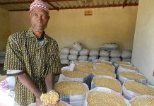 Ghana : ralentissement de l’inflation des prix à la production