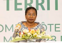 Togo : Victoire Tomégah-Dogbé lance le processus d’élaboration du SNAT