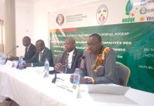 ROGEAP : des experts des pays francophones renforcent leurs capacités à Lomé