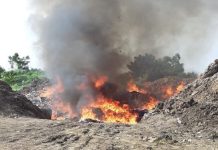 Togo : plus de 100 tonnes de produits illicites incinérées