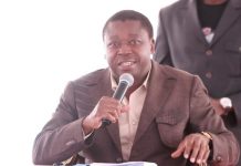 Filière Mangue au Togo : des initiatives gouvernementales qui changent tout