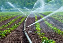 Production agricole : les Zaap boostent l’augmentation de la productivité