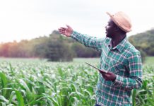 Trouver des solutions pour booster le secteur agricole au Togo