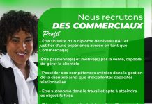 Lomé : la société DSTech Sarl-U recrute des agents commerciaux