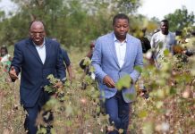 Le Togo peut-il finalement se passer de l’agriculture ?