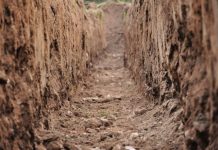 Togo : le gouvernement annonce des réformes dans les secteurs des hydrocarbures et des mines
