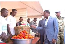 Togo : les Zaap renforcent davantage la sécurité alimentaire