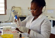 “One Health”, une initiative couplée avec Redisse-Togo