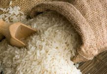 Filière riz : l’autre fierté de l’agriculture togolaise