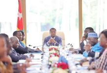 Togo : l’intégralité des décisions du conseil des ministres du 23 novembre 2023