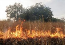Sinistres liés à l’harmattan : vigilance et surveillance permanentes