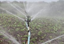 Pôle de croissance à Kara : de l’eau pour 42 000 habitants