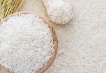 Togo : appui des Nations Unies à la filière riz