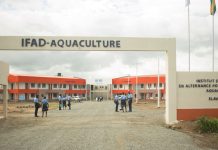 Vers des métiers porteurs avec les Ifad