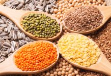 Togo : 13 milliards FCFA pour assurer la sécurité alimentaire en 2024