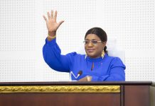 Togo : 113 députés siègeront à l’Assemblée Nationale