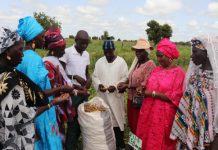 FSRP-Togo : des résultats au-delà des attentes engrangés en 2023
