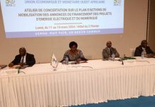 Uemoa : des réflexions pour l’accès universel à l’électricité, d’ici à 2033