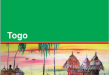 Une nouvelle enquête démographique et de santé au Togo
