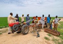 L’agriculture togolaise au sommet de son art