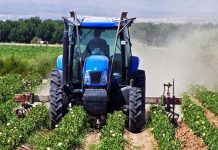 Togo : un appui de 1,2 milliard FCFA du Japon pour soutenir l’agriculture