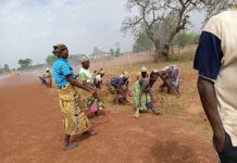 Auto-développement : la région des Savanes élevée par ses propres habitants