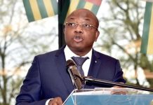Togo : plus de 100 tonnes de produits illicites détruites en 2023